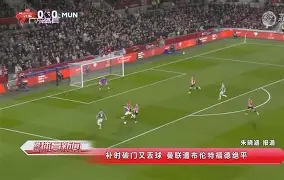 关于曼联补时点球绝杀纽卡斯尔，B费稳稳命中的信息