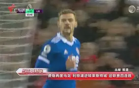 关于曼联补时点球绝杀纽卡斯尔，B费稳稳命中的信息